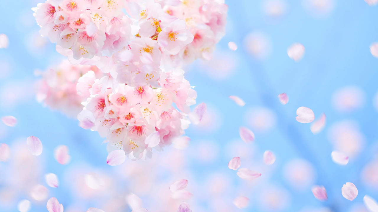 臨床工学技士国家試験で２年連続１００%合格を達成！全国平均を上回る圧倒的実績の理由